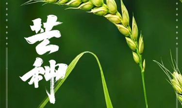 东升国际官网-追求康健,你我一起生长